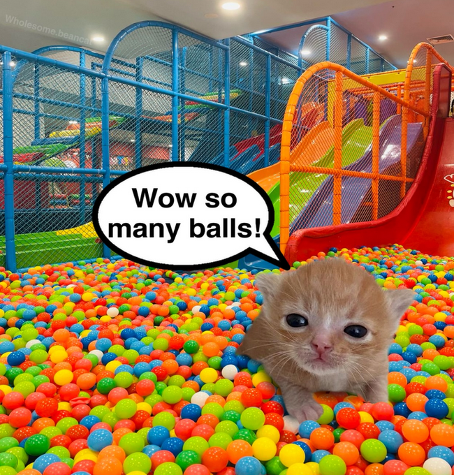 Giving a WORM welcome!